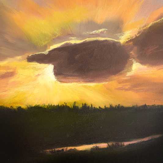 Veld van vreugde | Origineel Schilderij