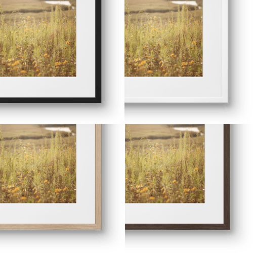Mysticism of the Night | Fine art print