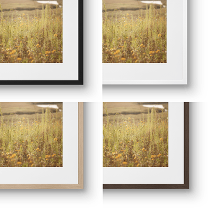 Mysticism of the Night | Fine art print